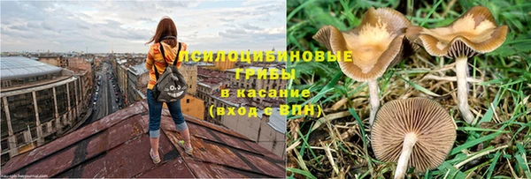 прущий лед Армянск