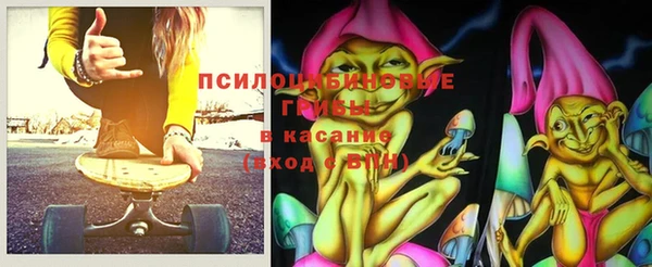 тгк Няндома